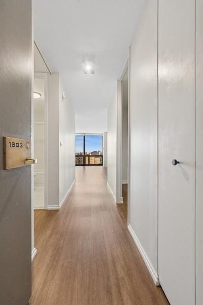 2650 N Lakeview Ave Unit 1603, Chicago, IL 60614 - hall featuring wood finished floors and floor to ceiling windows