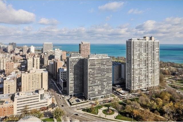 2650 N Lakeview Ave Unit 1603, Chicago, IL 60614 - view of urban area featuring a nearby body of water