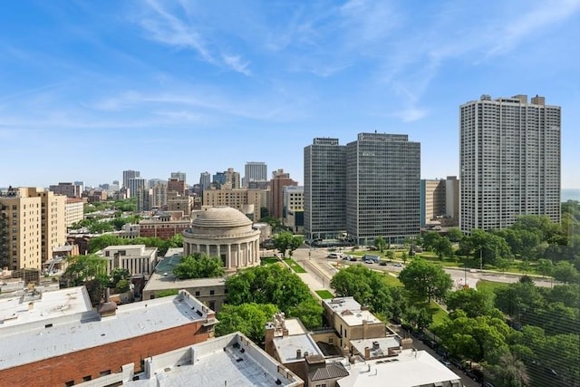 2650 N Lakeview Ave Unit 1603, Chicago, IL 60614 - view of city skyline
