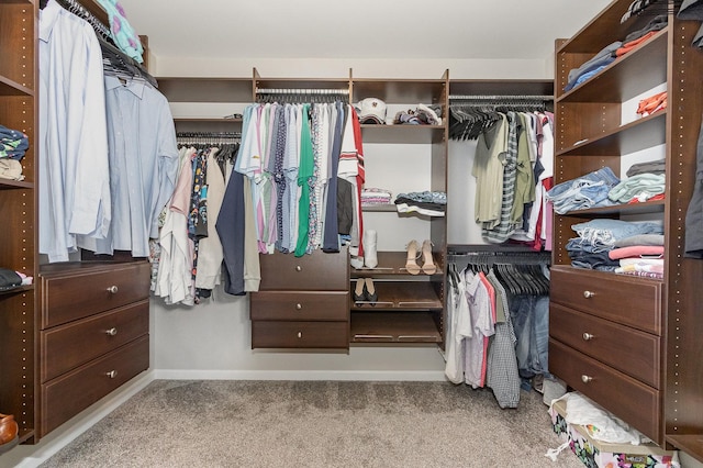 26550 W Old Stage Ln, Channahon, IL 60410 - spacious closet with carpet