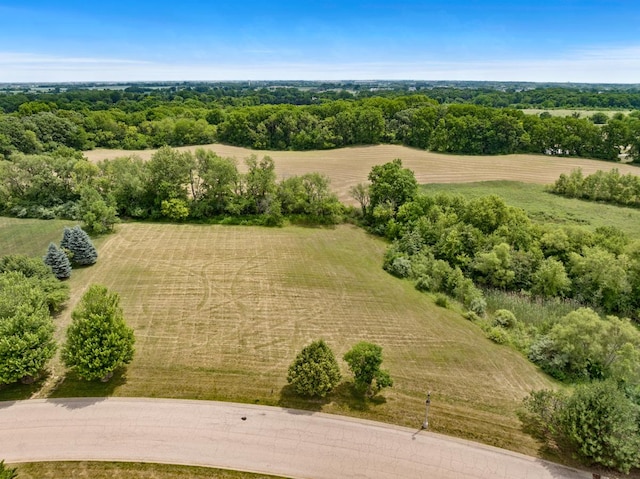 18N647 Ridgefield Blvd, Huntley, IL 60142 - photo 4