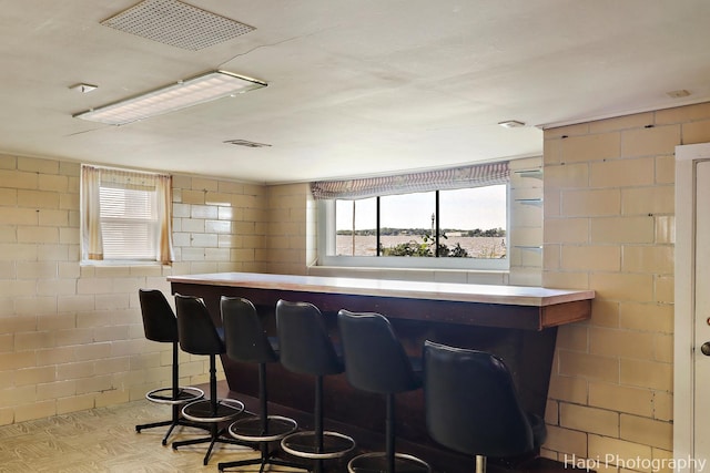 36 S Pistakee Lake Rd, Fox Lake, IL 60020 - indoor dry bar featuring healthy amount of natural light and concrete block wall