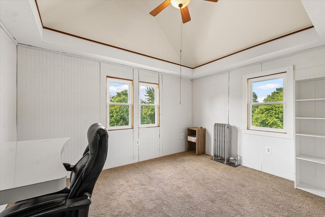 543 E Orleans St, Paxton, IL 60957 - unfurnished office with radiator heating unit, ceiling fan, carpet floors, lofted ceiling, and wood walls