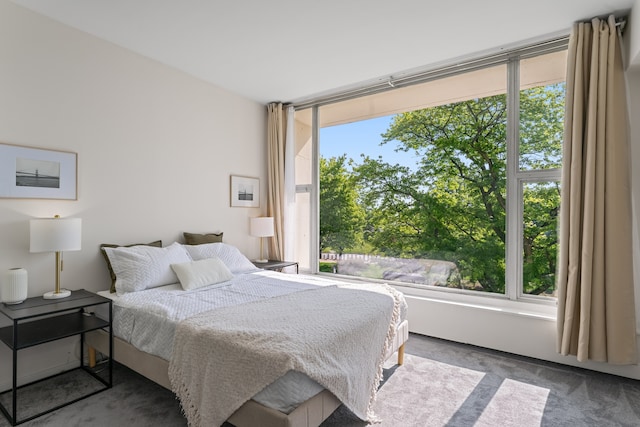 3200 N Lake Shore Dr Unit 302, Chicago, IL 60657 - bedroom with carpet flooring
