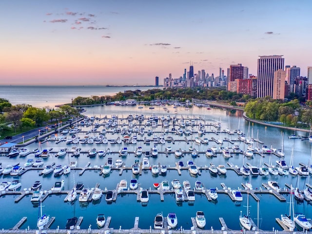 3200 N Lake Shore Dr Unit 302, Chicago, IL 60657 - water view with a marina and city skyline