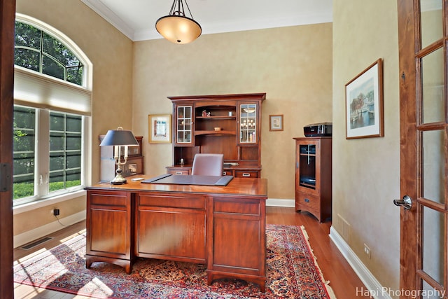 9516 Thousand Oaks Dr, Spring Grove, IL 60081 - home office featuring wood finished floors, ornamental molding, and a towering ceiling