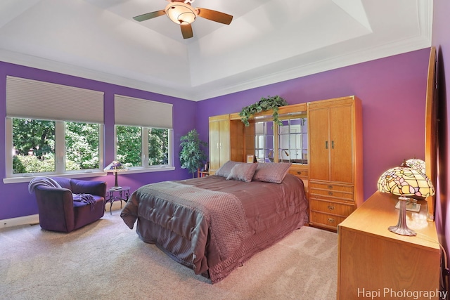 9516 Thousand Oaks Dr, Spring Grove, IL 60081 - bedroom featuring a tray ceiling, light carpet, and a ceiling fan