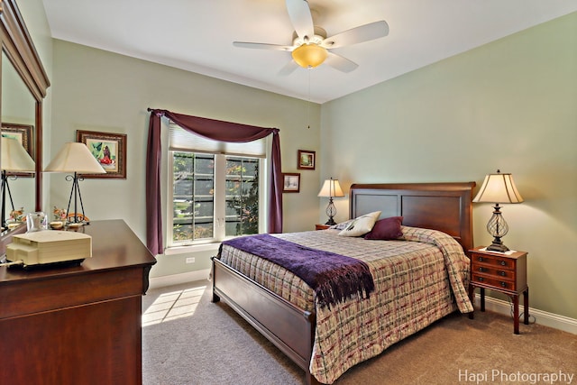 9516 Thousand Oaks Dr, Spring Grove, IL 60081 - bedroom featuring carpet flooring and a ceiling fan