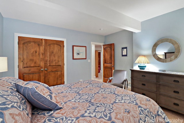 9516 Thousand Oaks Dr, Spring Grove, IL 60081 - carpeted bedroom with a closet