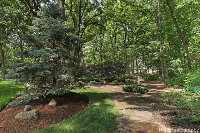 9516 Thousand Oaks Dr, Spring Grove, IL 60081 - view of yard