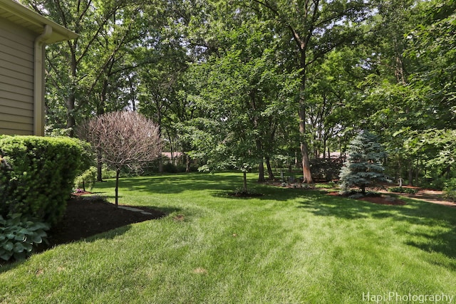 9516 Thousand Oaks Dr, Spring Grove, IL 60081 - view of grassy yard