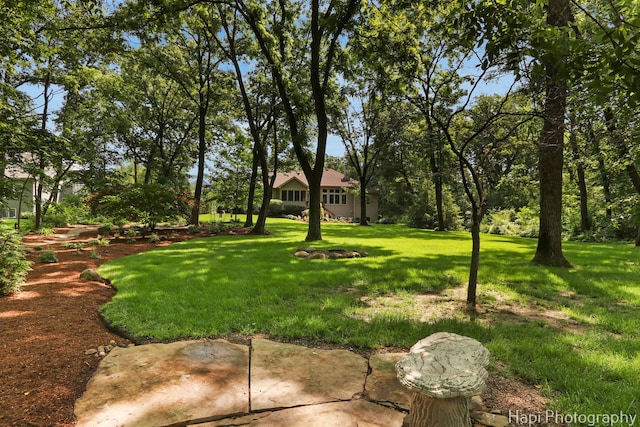 9516 Thousand Oaks Dr, Spring Grove, IL 60081 - view of green lawn