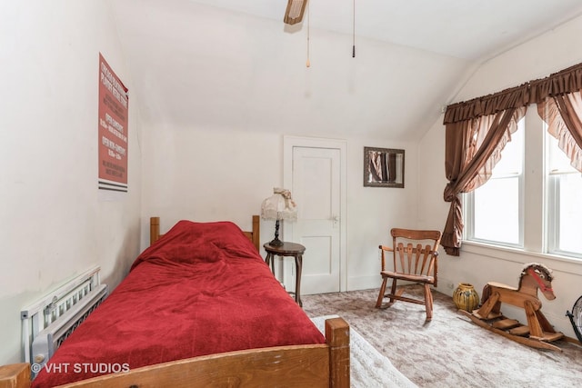 1429 N May St, Joliet, IL 60435 - bedroom with carpet flooring and lofted ceiling