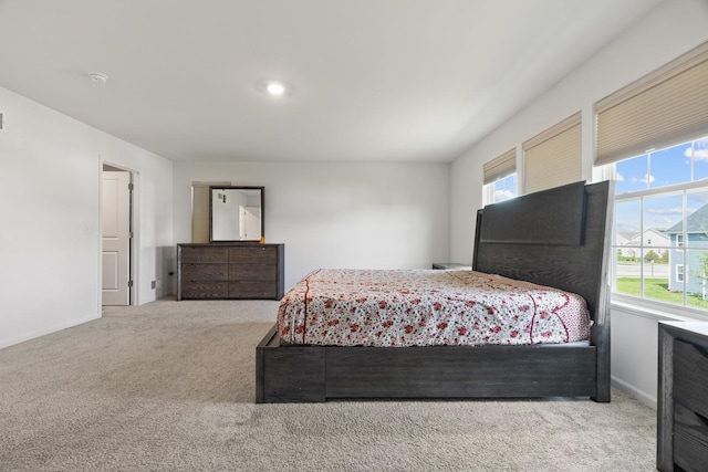 153 N Bend Way, Elgin, IL 60124 - bedroom with carpet flooring and multiple windows