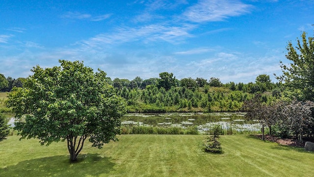2504 Monterey Dr, Plainfield, IL 60586 - view of green lawn with a water view