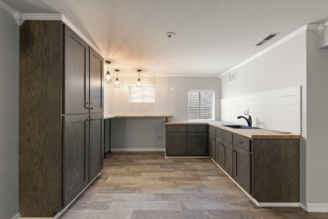 24006 Skyler Ln, Plainfield, IL 60586 - kitchen with ornamental molding, light wood-style flooring, and decorative light fixtures