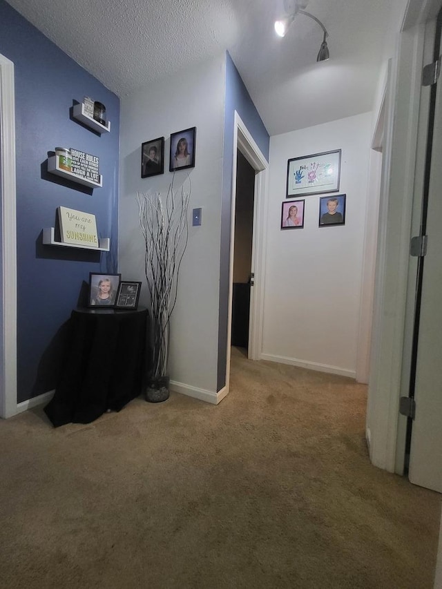 604 Parkshore Dr, Shorewood, IL 60404 - corridor featuring carpet floors and a textured ceiling