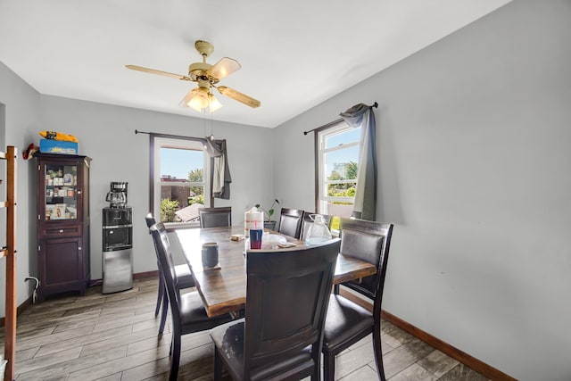 4N425 N 7th Ave, Addison, IL 60101 - dining area featuring plenty of natural light, a ceiling fan, and light wood finished floors