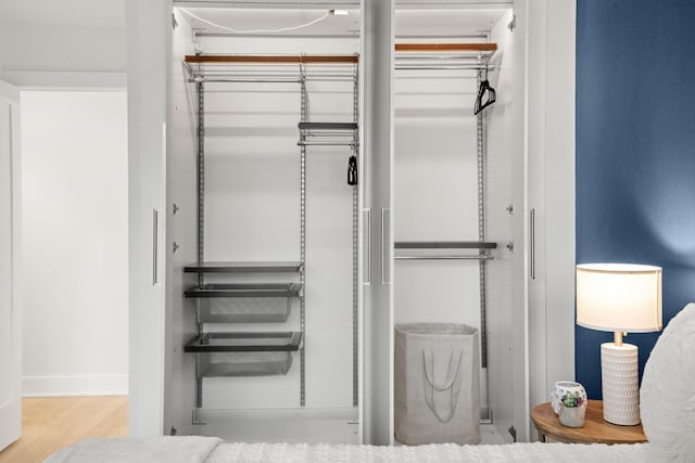88 W Schiller St Unit 904, Chicago, IL 60610 - view of closet