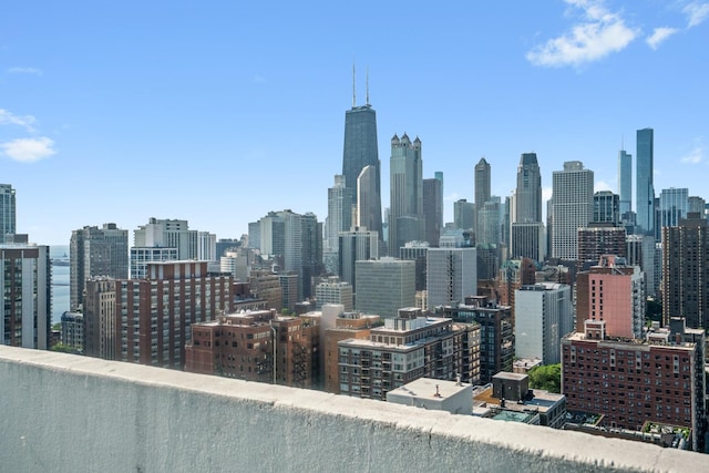 88 W Schiller St Unit 904, Chicago, IL 60610 - skyline view