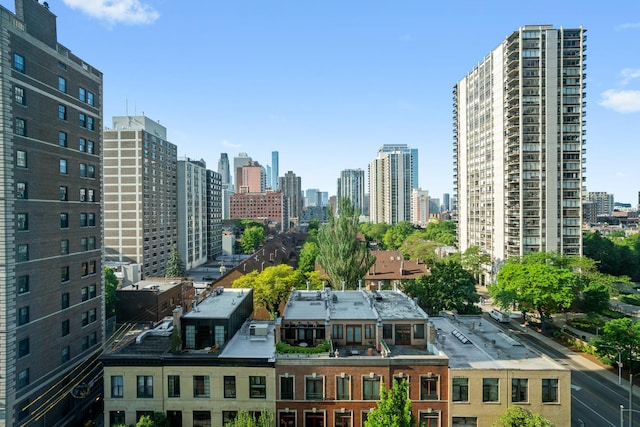 88 W Schiller St Unit 904, Chicago, IL 60610 - view of city skyline