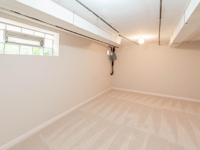 8960 S Anthony Ave, Chicago, IL 60617 - photo 11