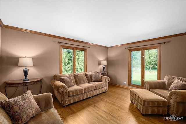 23 Colony Ct, Yorkville, IL 60560 - living area featuring crown molding, healthy amount of natural light, and light wood finished floors