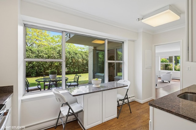 1440 Sheridan Rd Unit 101, Wilmette, IL 60091 - dining room featuring ornamental molding, baseboard heating, plenty of natural light, wood finished floors, and a baseboard heating unit