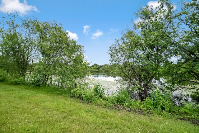 27W415 Providence Ln Unit 103, Winfield, IL 60190 - water view