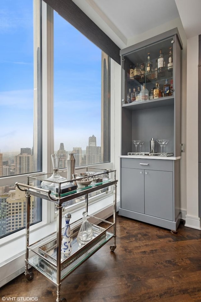401 N Wabash Ave Unit 44F, Chicago, IL 60611 - indoor dry bar with a city view, healthy amount of natural light, and dark wood-type flooring