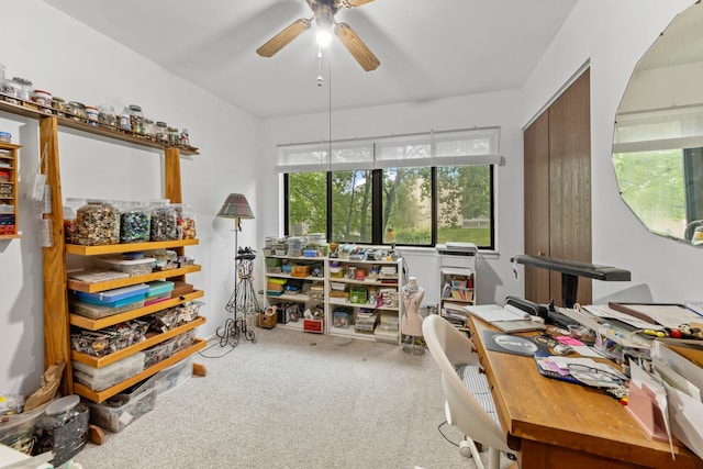 770 Yosemite Trl, Roselle, IL 60172 - carpeted home office featuring ceiling fan