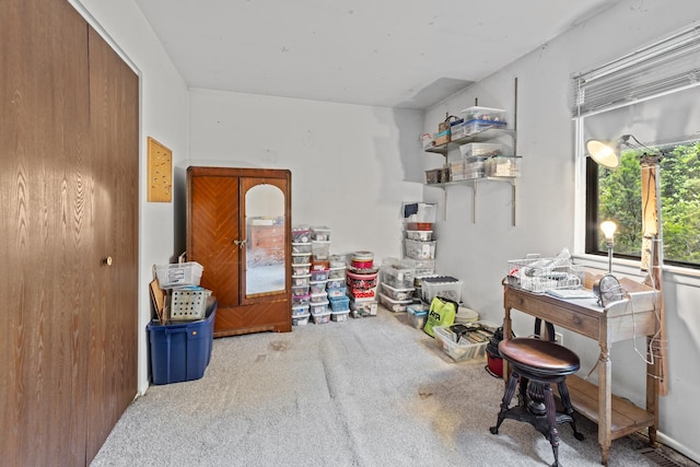 770 Yosemite Trl, Roselle, IL 60172 - misc room with carpet floors