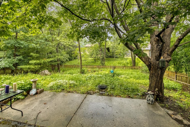 770 Yosemite Trl, Roselle, IL 60172 - fenced backyard featuring a patio
