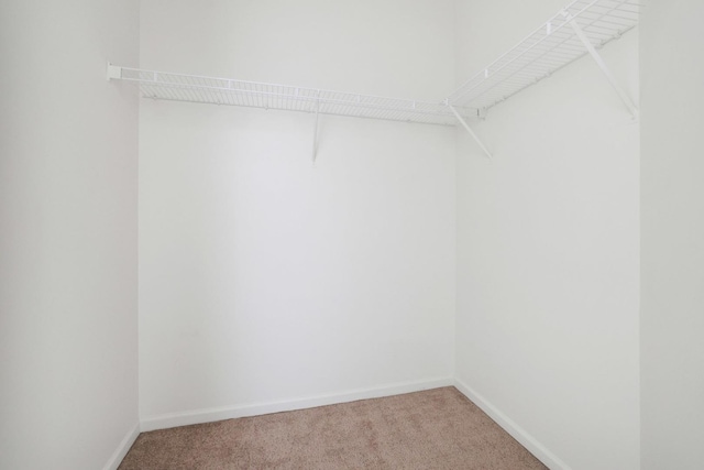 3317 Stratford Ct Unit 2E, Lake Bluff, IL 60044 - spacious closet with light colored carpet