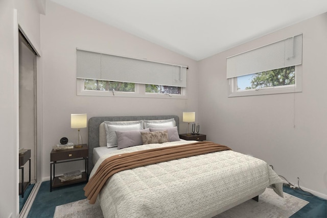 806 Lawler Ave, Wilmette, IL 60091 - carpeted bedroom featuring vaulted ceiling and a closet