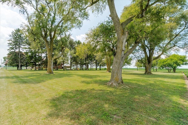 879 2300th Ave, Chestnut, IL 62518 - view of green lawn