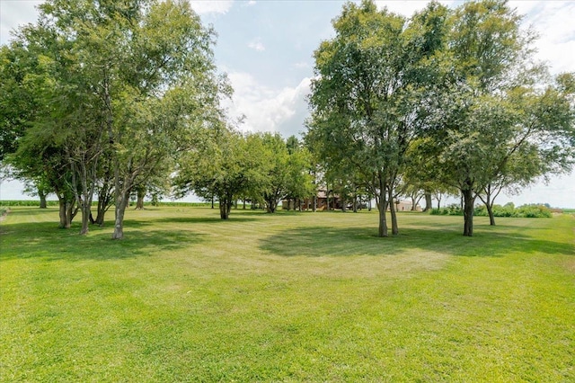 879 2300th Ave, Chestnut, IL 62518 - view of grassy yard