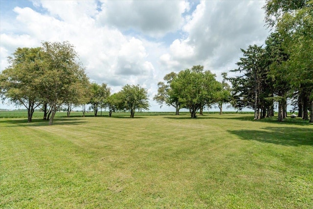 879 2300th Ave, Chestnut, IL 62518 - surrounding community with a lawn