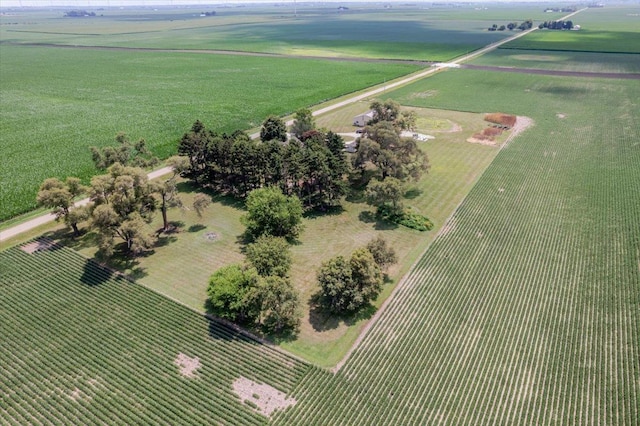 879 2300th Ave, Chestnut, IL 62518 - overview of rural landscape featuring rows of crops