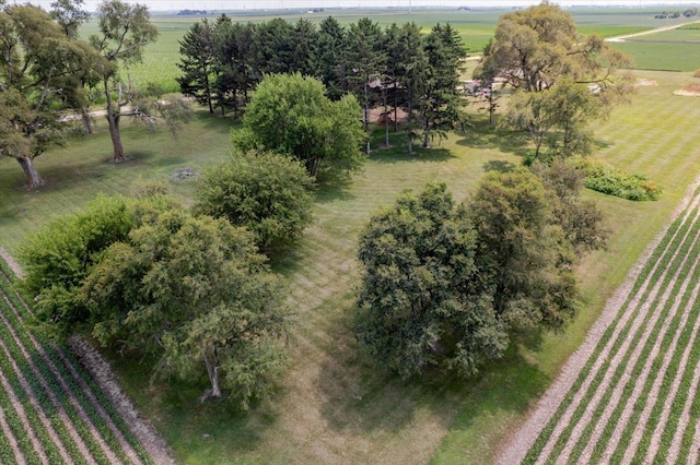 879 2300th Ave, Chestnut, IL 62518 - view of rural area featuring rows of crops