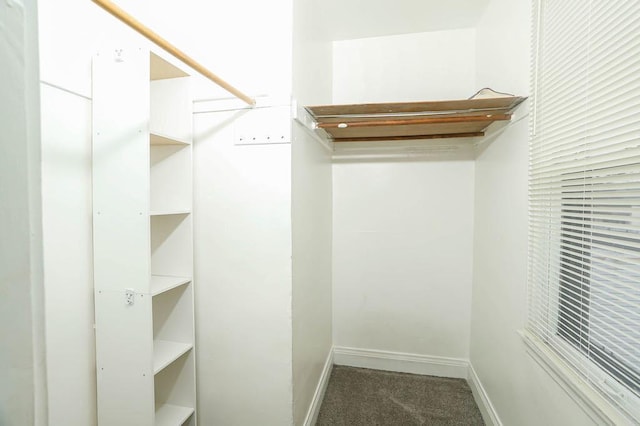 12400-02 S Green St, Calumet Park, IL 60827 - walk in closet with carpet