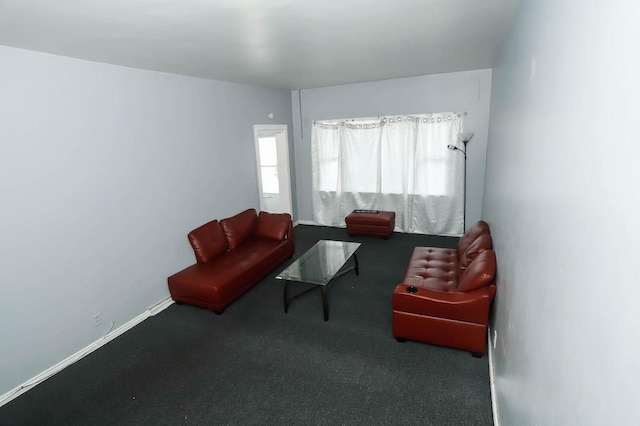 12400-02 S Green St, Calumet Park, IL 60827 - living area featuring carpet