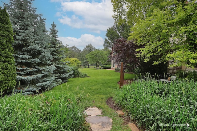 1260 Radford Dr, Aurora, IL 60502 - photo 52