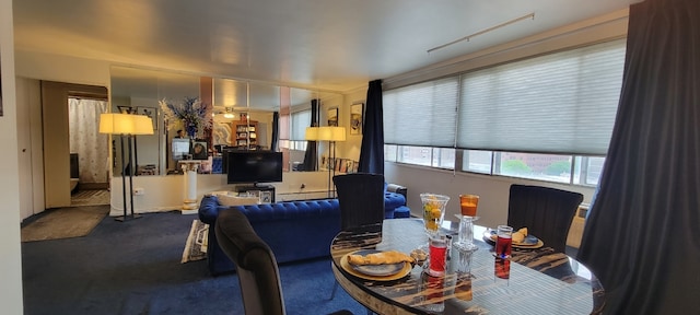 6300 N Sheridan Rd Unit 811, Chicago, IL 60660 - carpeted dining space featuring a baseboard heating unit