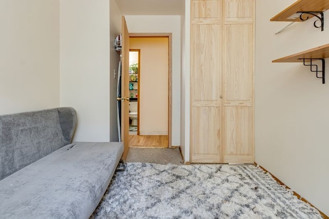 337 E Clark St, Glenwood, IL 60425 - bedroom with a closet and carpet floors