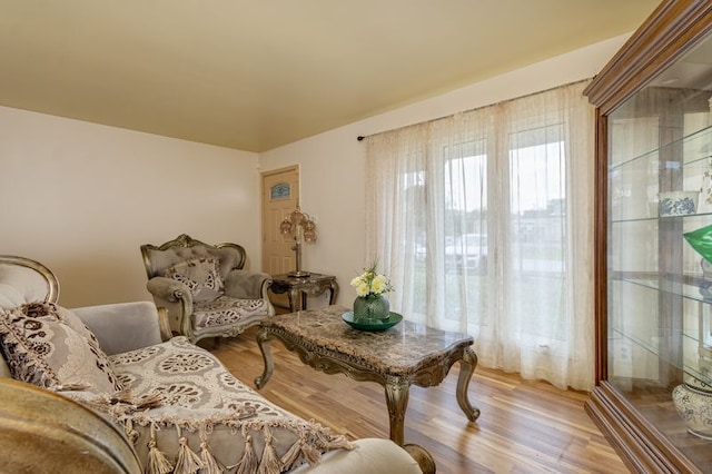 337 E Clark St, Glenwood, IL 60425 - sitting room with light wood-style floors