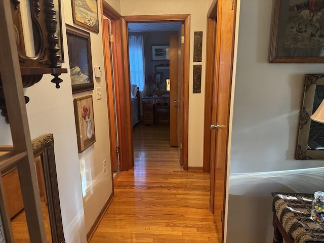 1202 E Van Buren St, Clinton, IL 61727 - hallway featuring light wood finished floors
