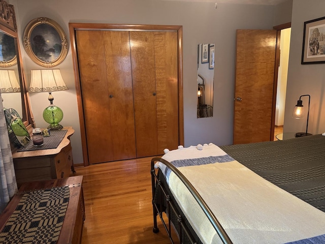 1202 E Van Buren St, Clinton, IL 61727 - bedroom featuring wood finished floors and a closet