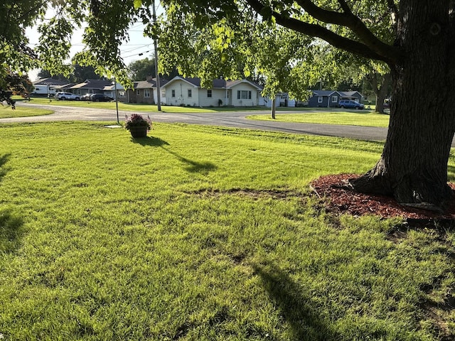 1202 E Van Buren St, Clinton, IL 61727 - view of green lawn with a residential view and driveway