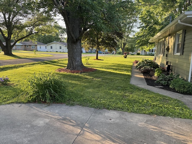1202 E Van Buren St, Clinton, IL 61727 - view of grassy yard with a residential view